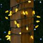 Picture of Yellow 70 LED C6 Strawberry Mini Lights Commercial Grade on Green Wire
