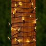 Picture of 70 Light Traditional T5 Warm White LED Mini Lights Brown Wire