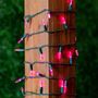 Picture of 35 Light Traditional T5 Pink LED Mini Lights Green Wire