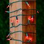 Picture of 35 Light Traditional T5 Red LED Mini Lights Green Wire