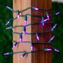 Picture of 35 Light Traditional T5 Purple LED Mini Lights Green Wire