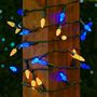 Picture of Yellow and Blue 70 LED C6 Strawberry Mini Lights Commercial Grade Green Wire