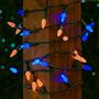 Picture of Orange and Blue 70 LED C6 Strawberry Mini Lights Commercial Grade Green Wire