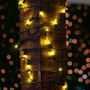 Picture of 50 LED Yellow (gold) LED Christmas Lights 11' Long on Green Wire