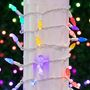 Picture of Rainbow 70 LED C6 Strawberry Mini Lights Commercial Grade on White Wire