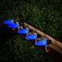 Picture of 25 Light String Set with Blue LED C9 Bulbs on Green Wire