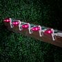 Picture of Pink Smooth Glass C9 LED Bulbs - 25pk