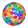 Picture of 50 Multi LED 6" Sphere