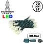Picture of Coaxial Warm White 70 LED C6 Strawberry Mini Lights Commercial Grade on Green Wire