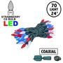 Picture of Coaxial Red/White/Blue 70 LED C6 Strawberry Mini Lights Commercial Grade on Green Wire