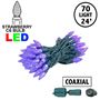 Picture of Coaxial Purple 70 LED C6 Strawberry Mini Lights Commercial Grade on Green Wire