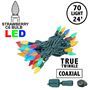Picture of Coaxial *NEW* True Twinkle Multi Color 70 LED C6 Strawberry Mini Lights Commercial Grade on Green Wire
