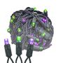 Picture of Commercial Grade Wide Angle 50 LED Purple/Lime 25' Long on Black Wire