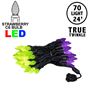 Picture of *NEW* True Twinkle Purple/Lime 70 LED C6 Strawberry Mini Lights Commercial Grade on Black Wire
