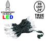 Picture of *NEW* True Twinkle Pure White 70 LED C6 Strawberry Mini Lights Commercial Grade on Green Wire