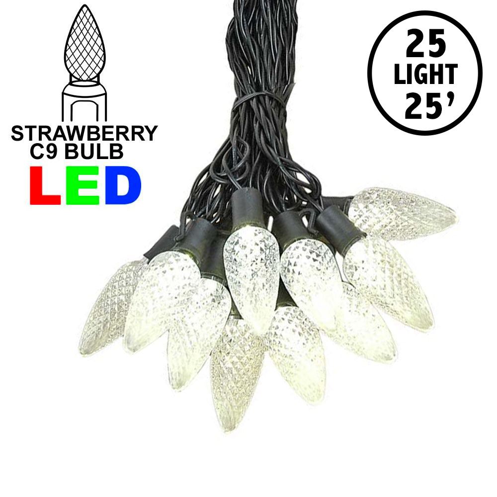 Picture of 25 Warm White LED C9 Pre-Lamped String Lights Black Wire