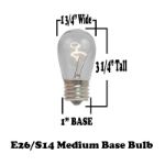 50 Clear S14 Commercial Grade Suspended Light String Set on 100' of White Wire 