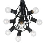 100 G30 Globe String Light Set with Clear Bulbs on Black Wire