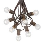 100 G30 Globe String Light Set with Clear Bulbs on Brown Wire