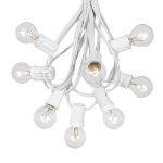 100 G30 Globe String Light Set with Clear Bulbs on White Wire