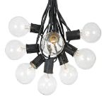 100 G50 Globe Light String Set with Clear Bulbs on Black Wire