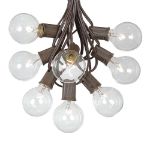 100 G50 Globe Light String Set with Clear Bulbs on Brown Wire