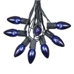 C9 25 Light String Set with Blue Bulbs on Black Wire