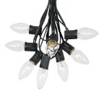 C9 25 Light String Set with Clear Bulbs on Black Wire