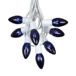 C9 25 Light String Set with Blue Bulbs on White Wire