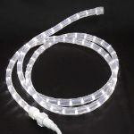 Pure White Custom 12 Volt LED Rope Lights 1/2" 2 Wire
