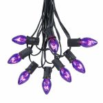 C7 25 Light String Set with Purple Twinkle Bulbs on Black Wire