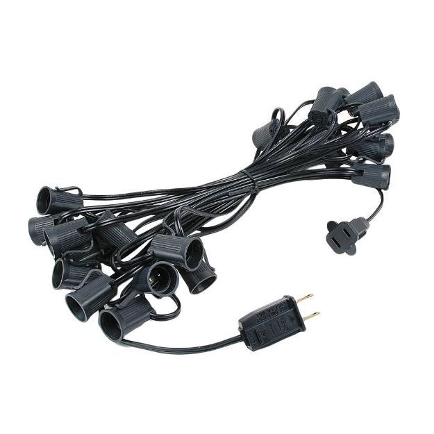 Christmas Lights | Novelty LightsC9 String 25 Sockets on Black Wire ...