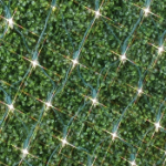 2' x 10' Super Bright Clear Net Lights - Green Wire