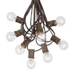 25 G30 Globe Light String Set with Clear Bulbs on Brown Wire