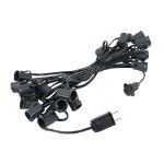 25 G50 Globe Light String Set with Assorted Bulbs on Black Wire