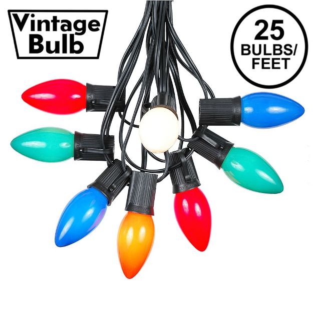 C9 25 Light String Set with Ceramic Assorted Bulbs on Black Wire