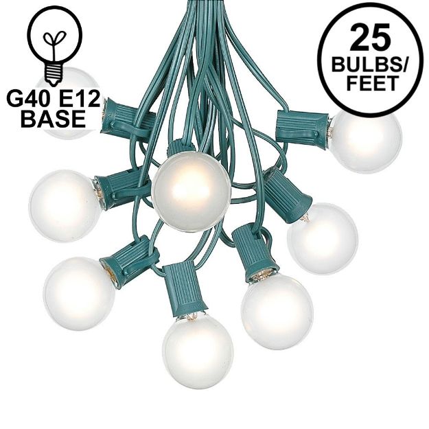 25 G40 Globe String Light Set with Frosted Bulbs on Green Wire