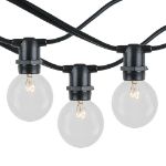25 Clear G40 Commercial Grade Candelabra Base Light Set - Black Wire
