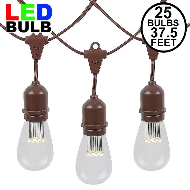 25 LED S14 Warm White Commercial Grade Suspended Light String Set on 37.5' of Brown Wire 
