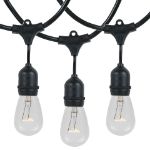24 Clear S14 Commercial Grade Suspended Light String Set on 48' of Black Wire