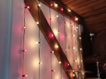 100 G40 Globe String Light Set with Frosted White Bulbs on Green Wire
