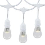 24 LED Warm White S14 Commercial Grade Suspended Light String Set on 48' of White Wire 