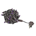 Commercial Grade Wide Angle 50 LED Purple 25' Long on Brown Wire