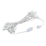 25 LED Filament G40 Globe String Light Set with Warm White Bulbs on White Wire