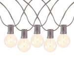 25 LED Filament G40 Globe String Light Set with Warm White Bulbs on Brown Wire