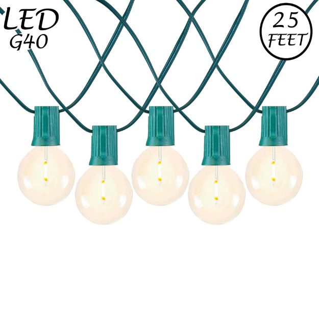25 LED Filament G40 Globe String Light Set with Warm White Bulbs on Green Wire