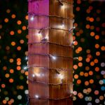 50 LED Pure White LED Christmas Lights 11' Long on Brown Wire
