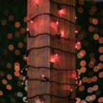 50 LED Red LED Christmas Lights 11' Long on Black Wire