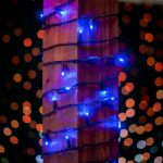 50 LED Blue LED Christmas Lights 11' Long on Black Wire