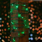50 LED Green LED Christmas Lights 11' Long on Green Wire